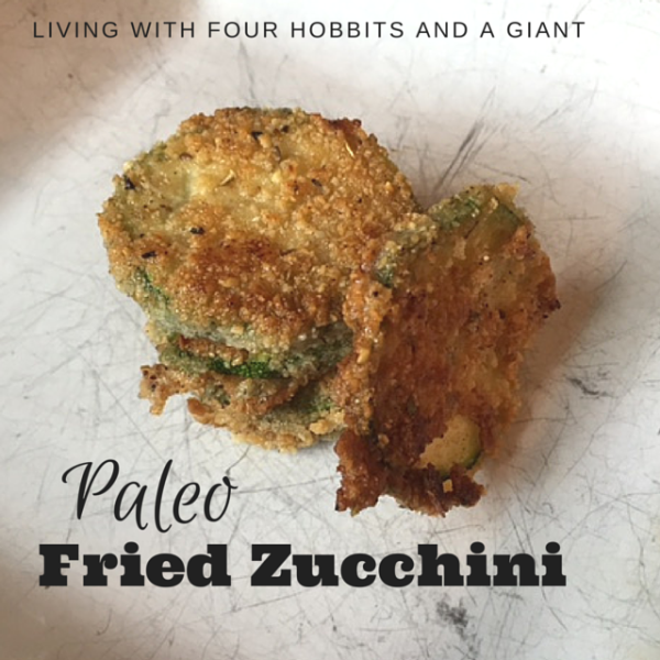 fried zucchini graphic