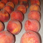 Peaches are in!