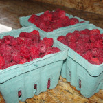 Jam Recipe {Freezer or Canned}